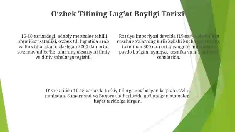 Tarixiy jihatdan o'zbek tili leksikasi 4