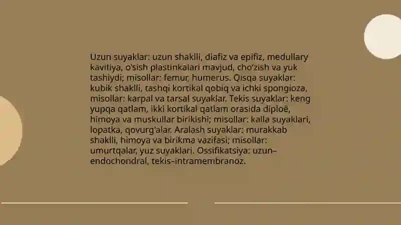 umumiy psteologiya, skelet haqida ummumiy tushuncha 4