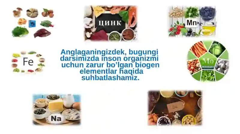 Biogenelementlarvaularningtirikorganizmlardagiaxamiyati 4