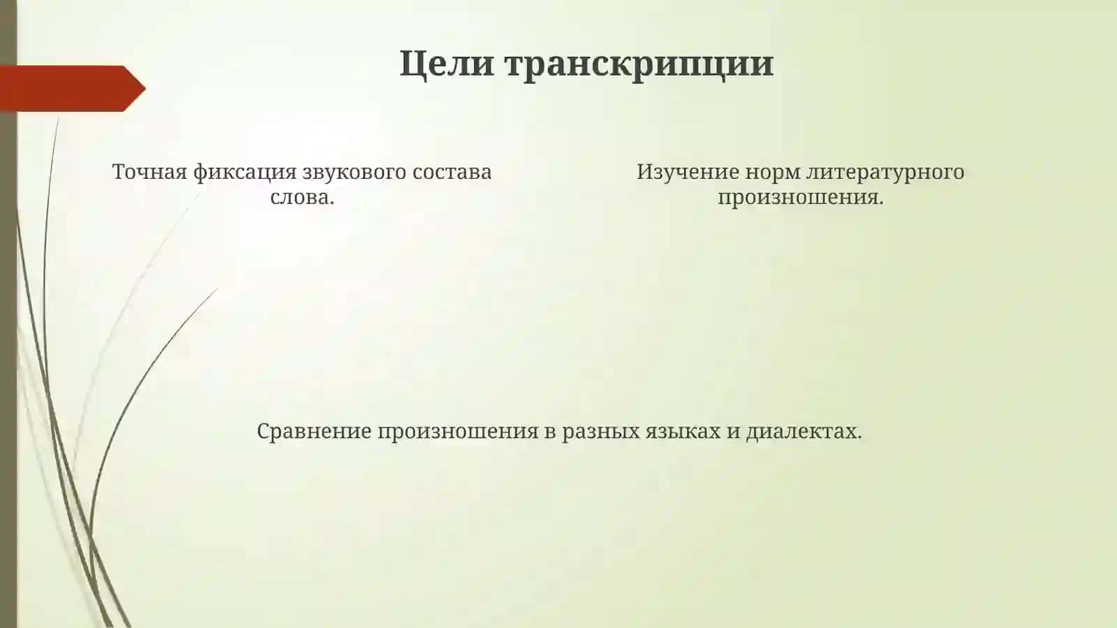 Транскрипция 4