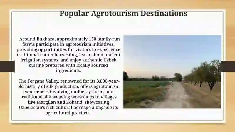 Agroturism in Uzbekistan 4