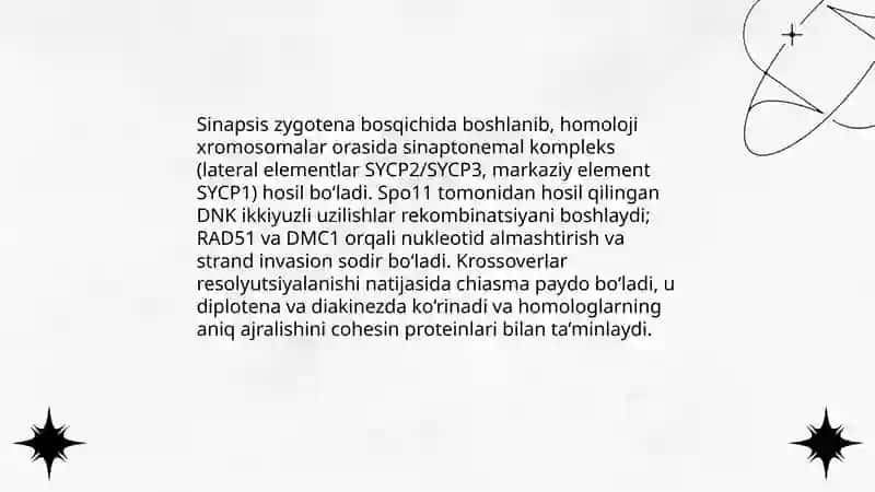 Hujayraning meyotik bolinishi. Mitoz va meyozning patalogiyasi 4