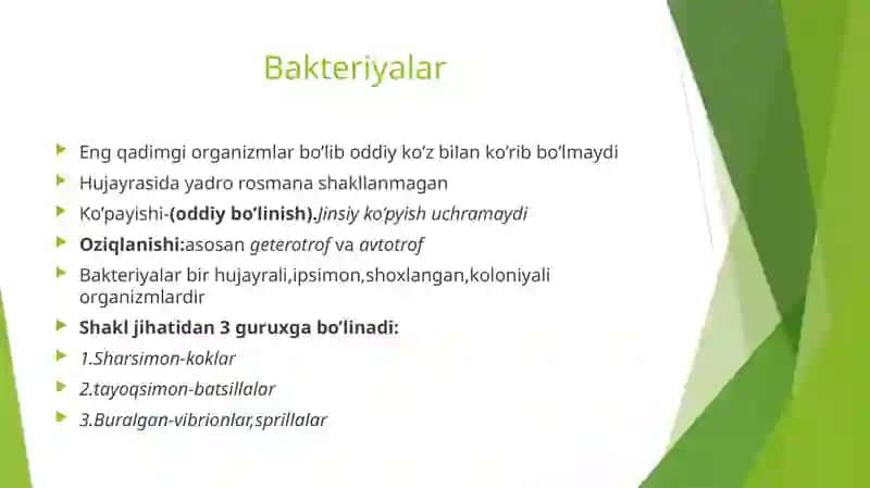 Prokariothujayralar 4