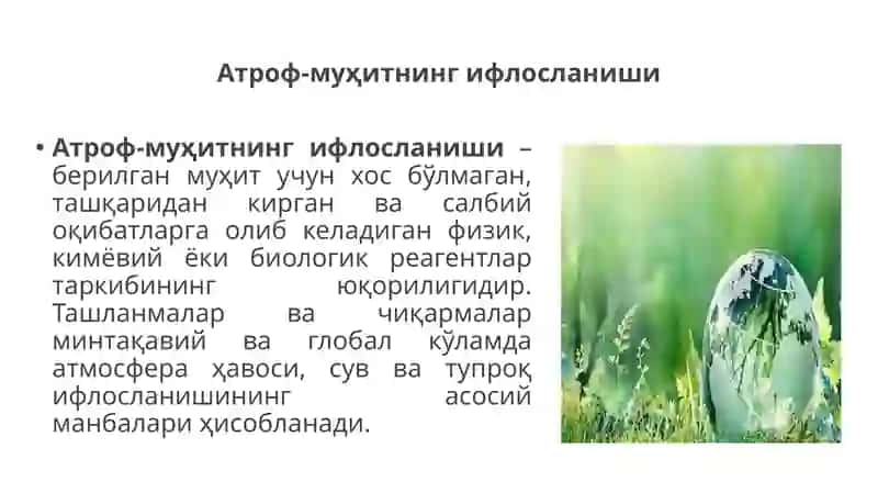 Атроф - мухит ифлосланишини озик - овкат махсулотлари хавфсизлигига таъсири 4