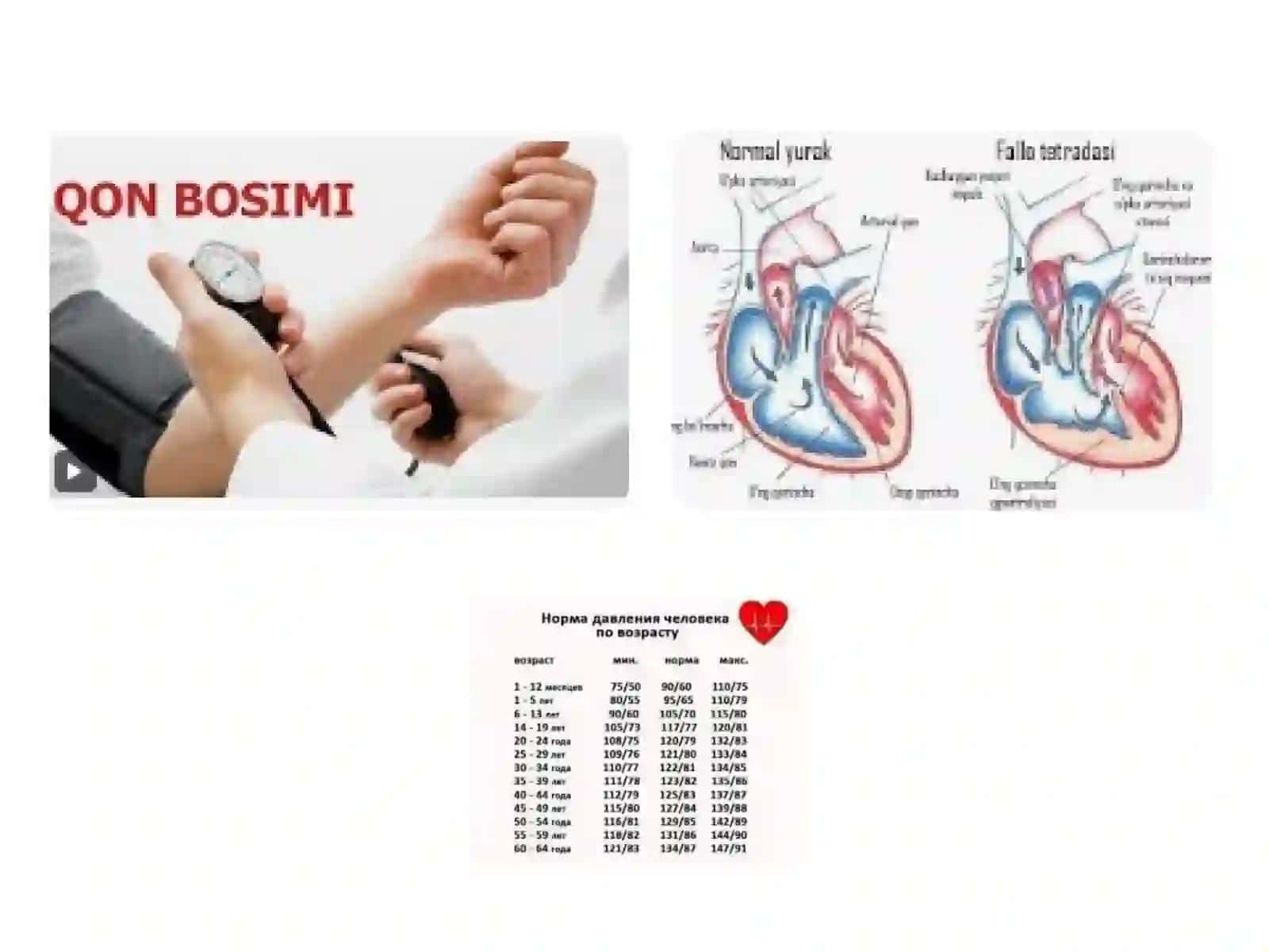 Davolash ishi fakulteti talabasi Nu'monov Behruzbek "Arterial qon bosimi va periferik pulsni tibbiyotdagi ahamiyati" 4