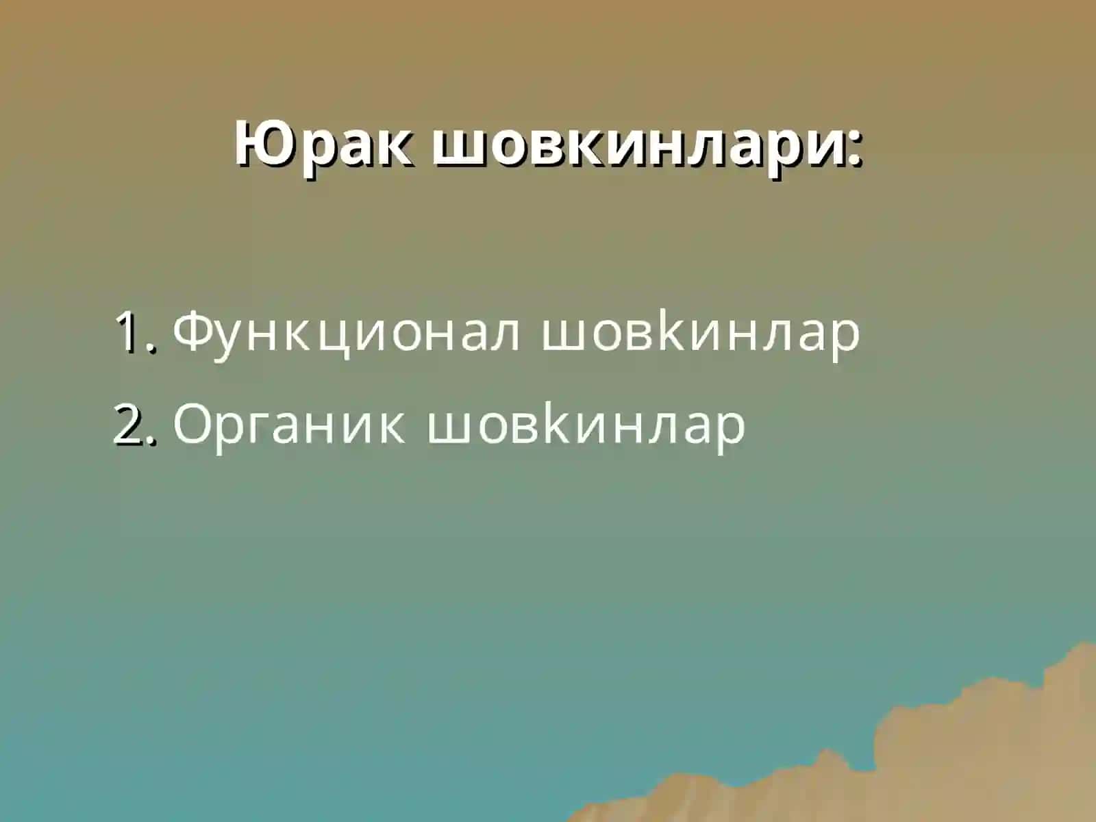 Юракда шовкин синдроми: тугма ва орттирилган юрак нуксонлари 4