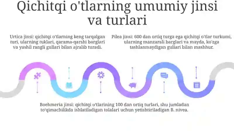 Qichitqigullilar Tartibi, Qichitqidoshlar Va Nashadoshlar Oilasiga Kiruvchi Vakillar,Tuzilishi Va Ahamiyati 4