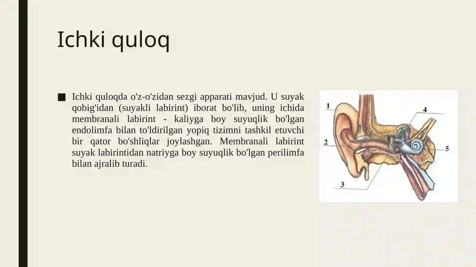 Eshituv tizimi 4