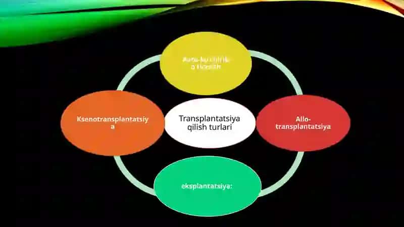 Transplantatsiya Tarixi va Qabul Qilingan Hujjatlar 4