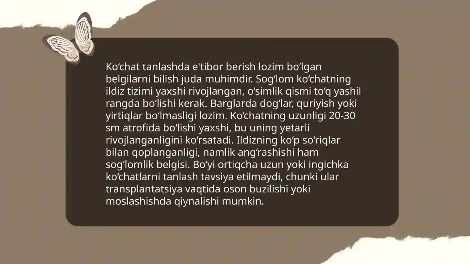 Rezavor mevali o'simliklar ko'chatini yetishtirish texnologiyasi 4