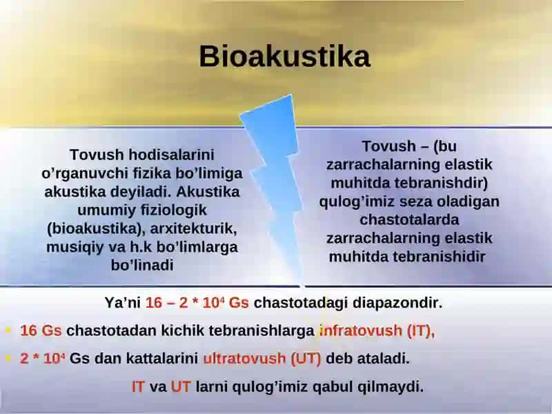 Bioakustika 4