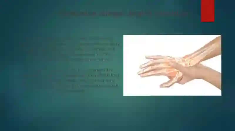 Qoʻl va ayoq terisi mushaklari innervatsiyasi variant anatomiyasi 4