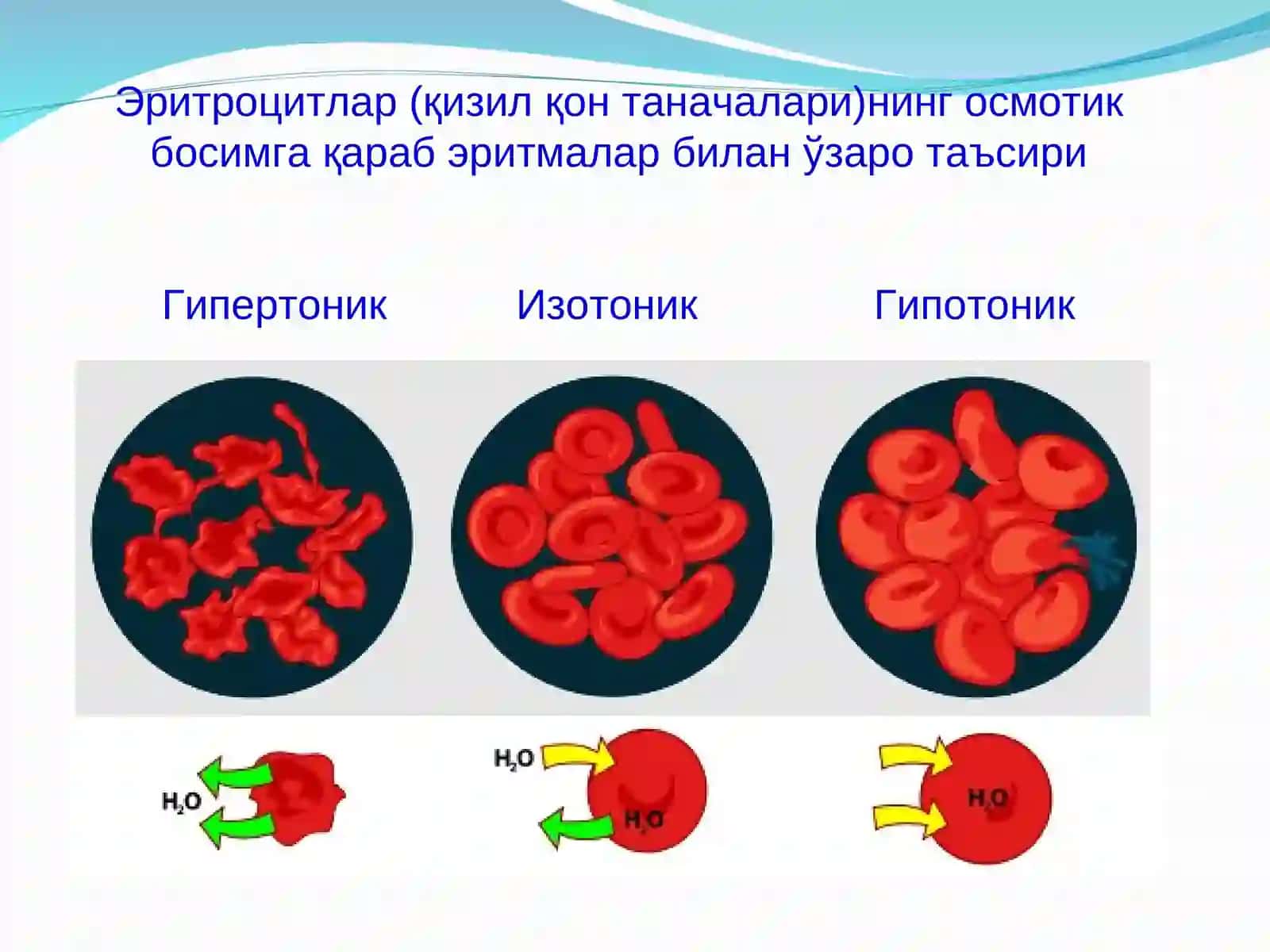 Коллоид системаларнинг осмотик босими 4