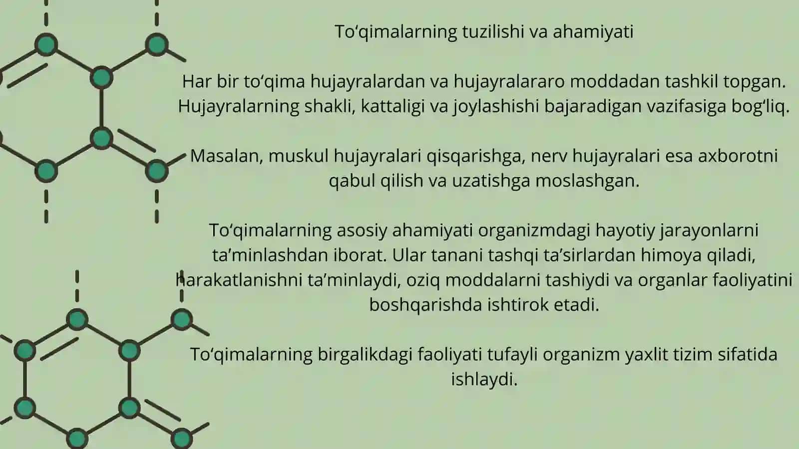 [To’qima] 4