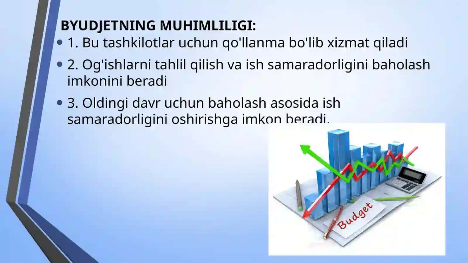 Budjet turlari va tizimlari 4