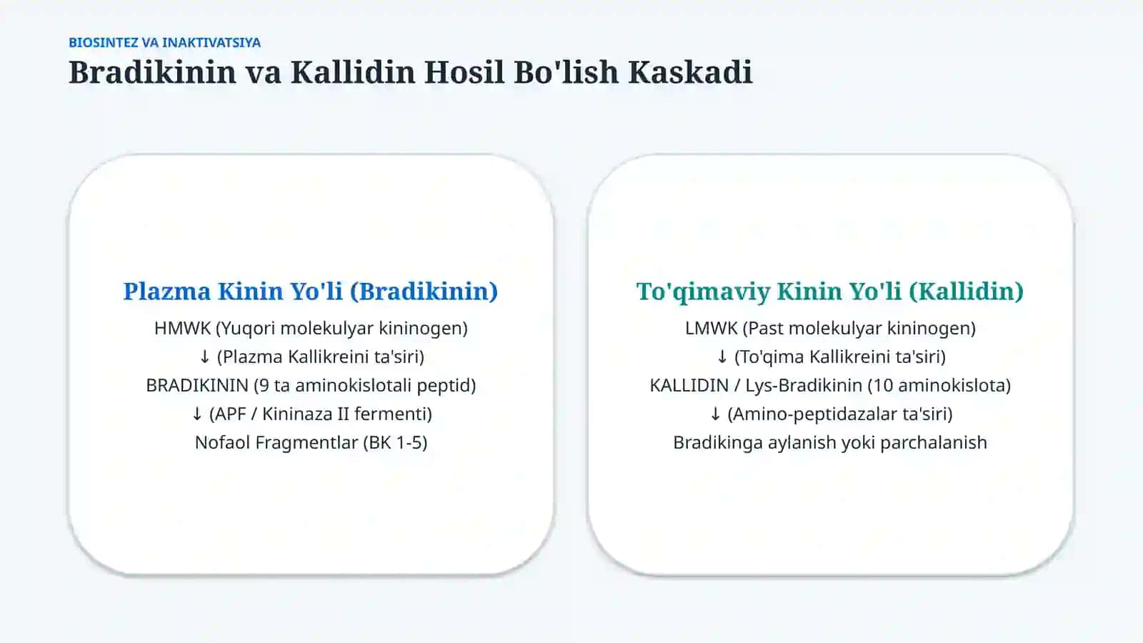 Kallikrein–kinin tizimi va uning klinik ahamiyati — 15 slayd 4