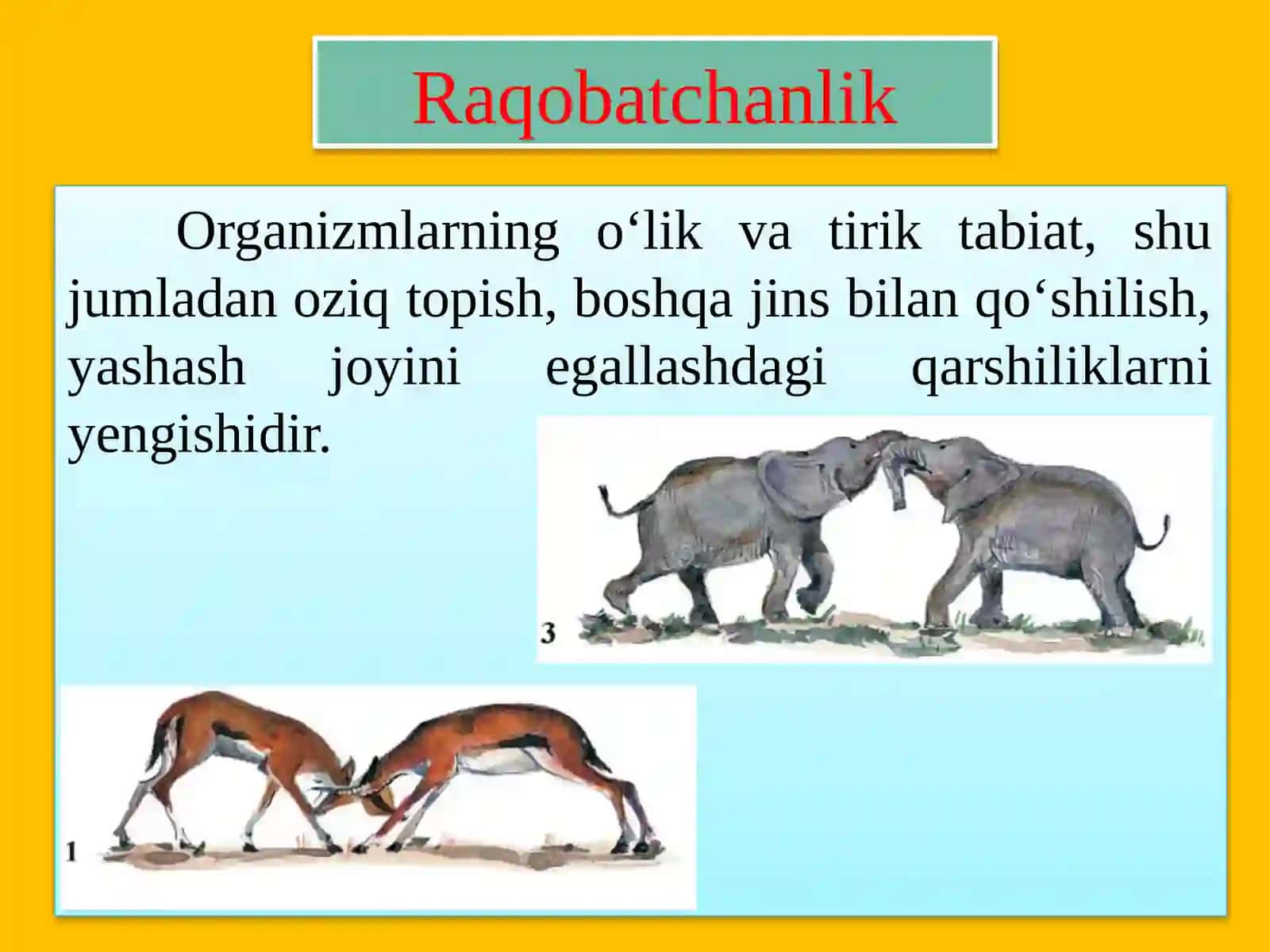 ORGANIK OLAMDA MOSLANISHLAR – EVOLUTSIYA NATIJASI 4