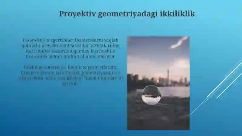 Proektiv Geometriya: Qushning Ko'zidan Qarash 4