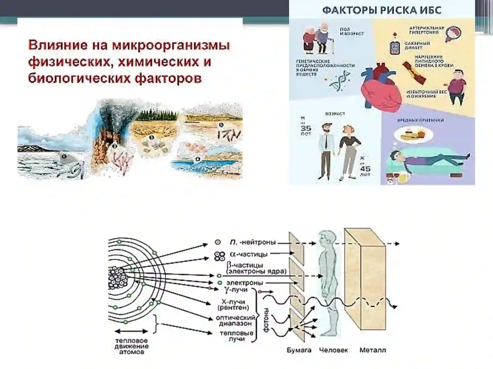 Biofizka fanidan Biobektlarga fizikomillarning taʼsiri 4