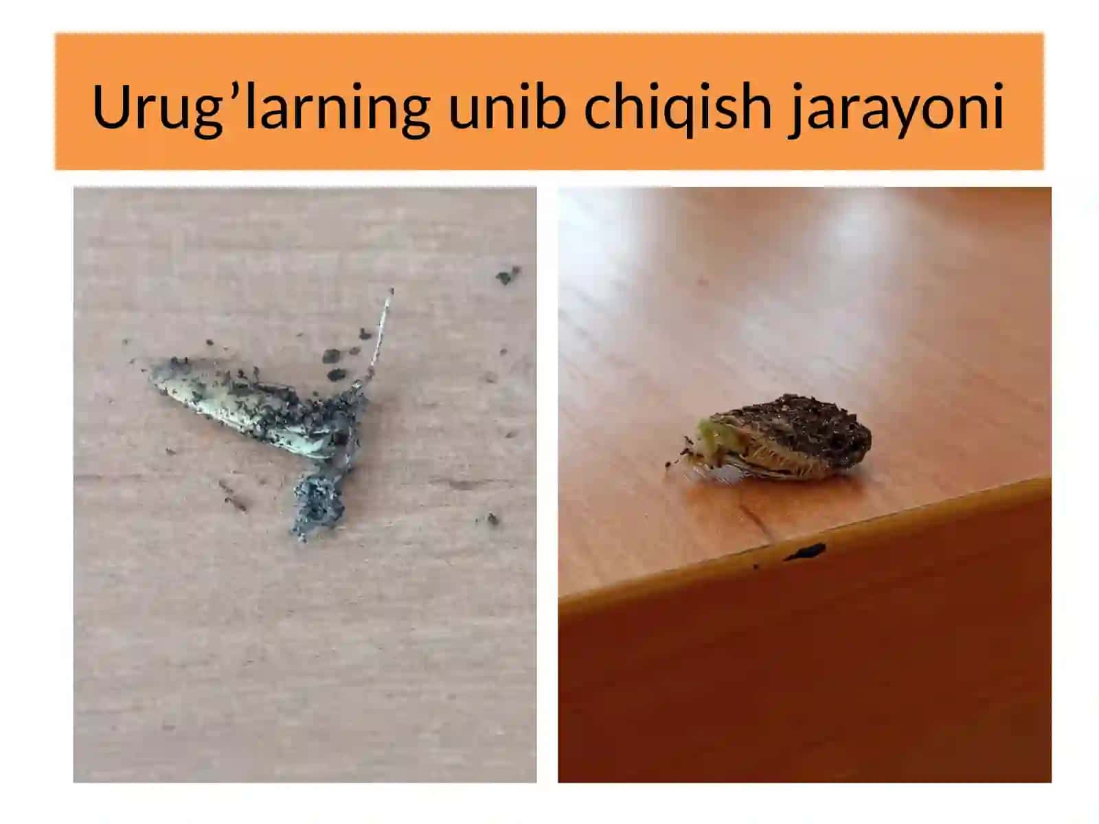 Kimyotexnalogiya fakulteti Biotexnalogiya yo’nalishi 4