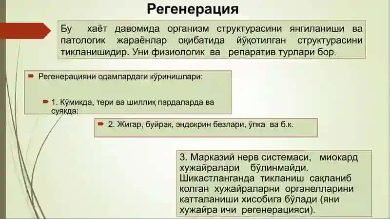 Усма 4