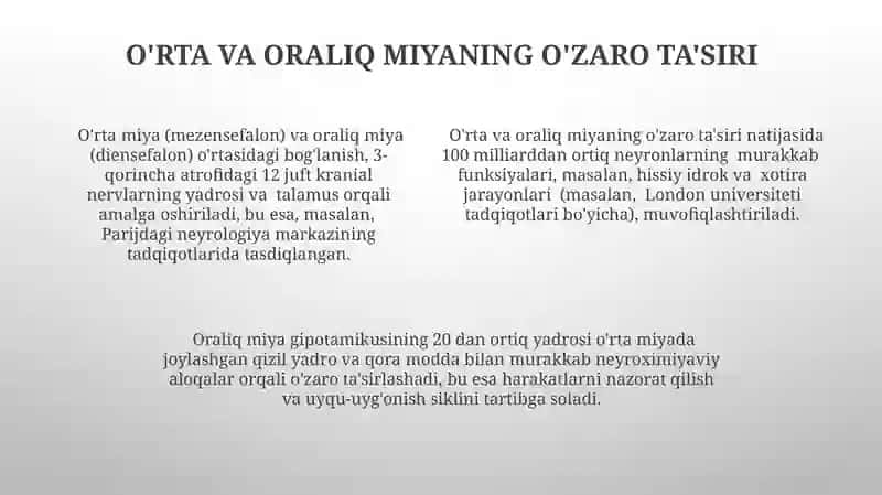 O'rta miya Oraliq miya 4
