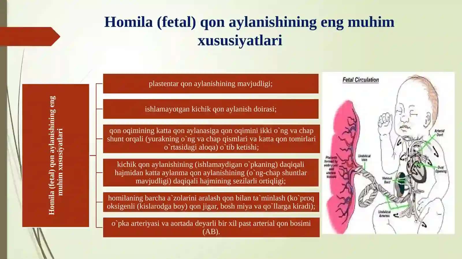 Bolalarning qon aylanish tizimining anatomo-fiziologik xususiyatlari, tekshirish usullari. O’zgarishlar semiotikasi 4
