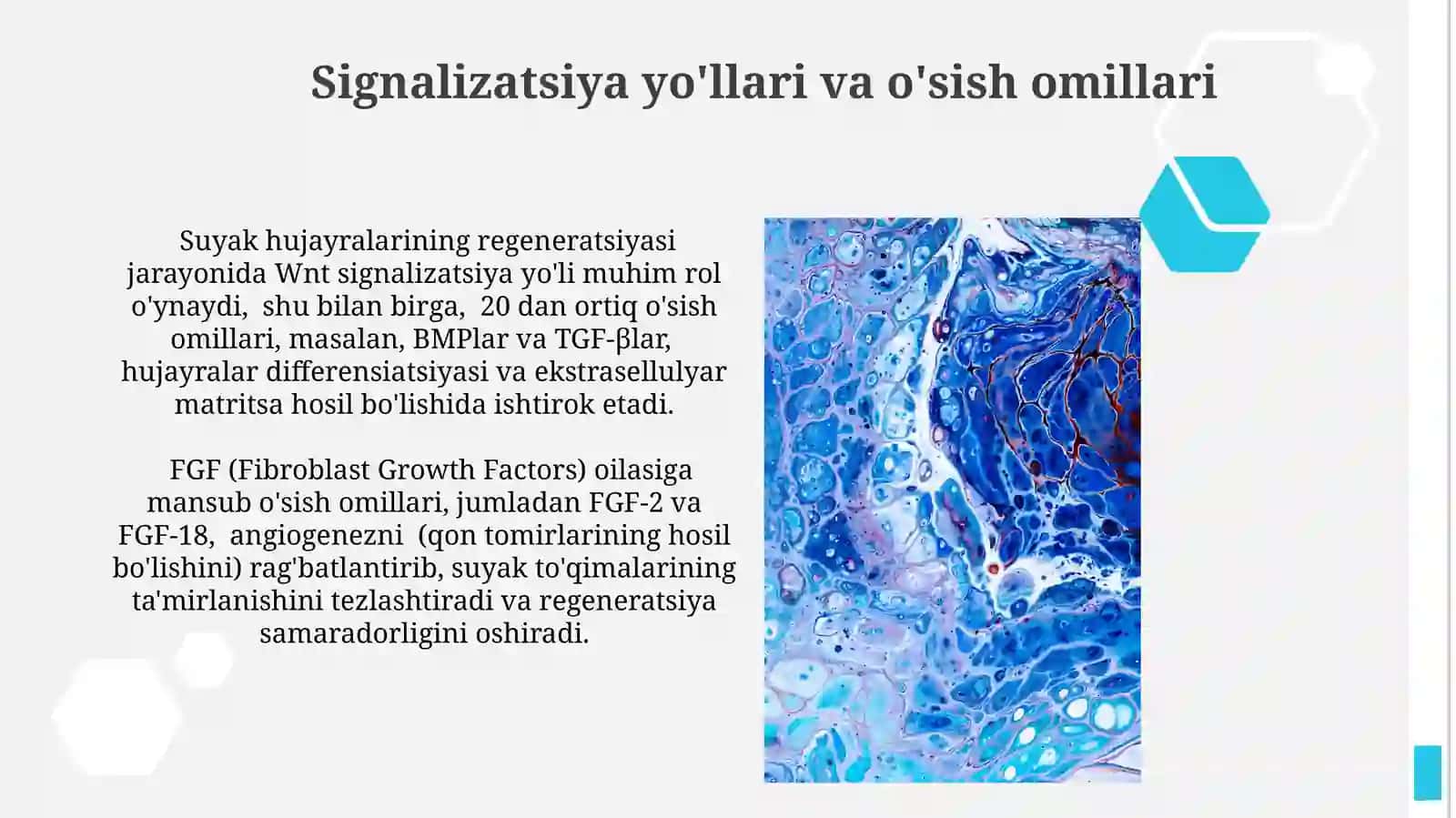 Regeneratsiya Jarayonlarini Tartibga Solish Mexanizmlari 4
