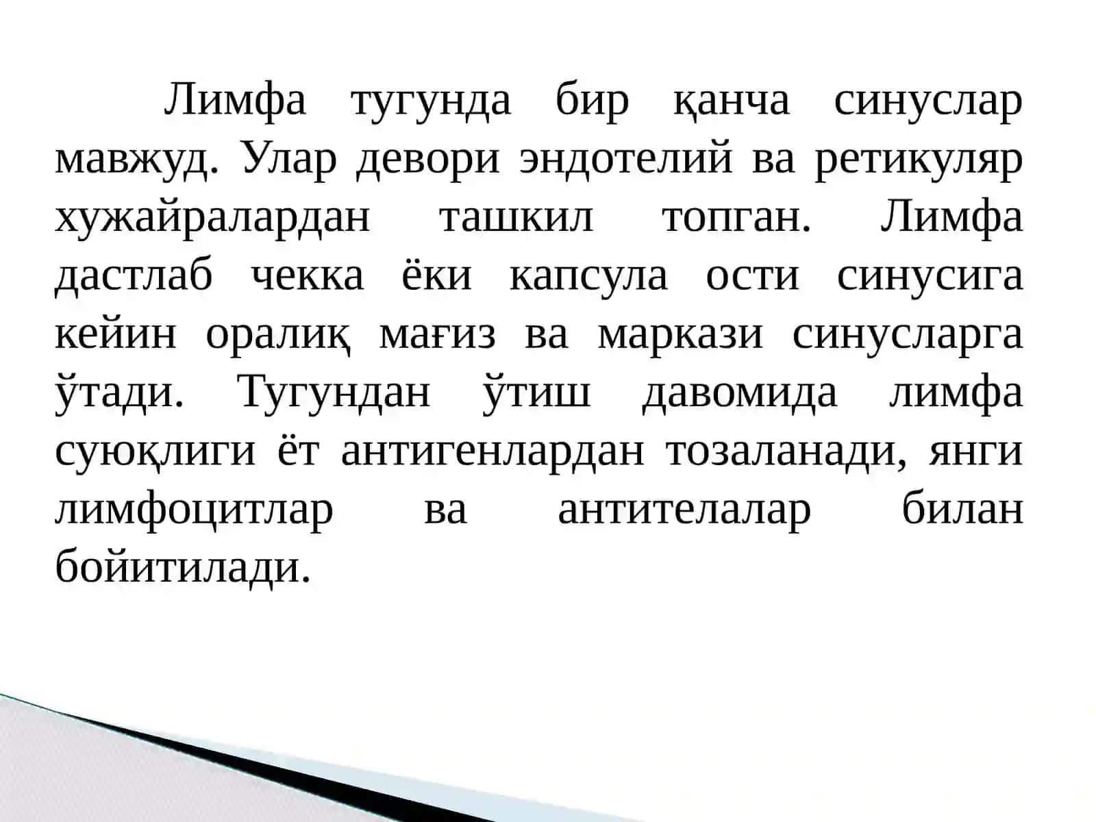 Лимфа тугунлари 4