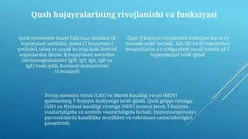 Qushlarda immun tizimi tuzulishi va mehanzmlari 4