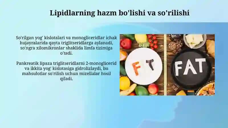 Lipitlar 4