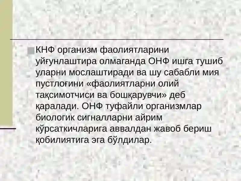 Олий асаб фаолияти (ОНФ) 4