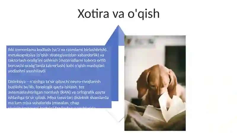 O'qish faoliyat va uning psixologik tavsifi 4