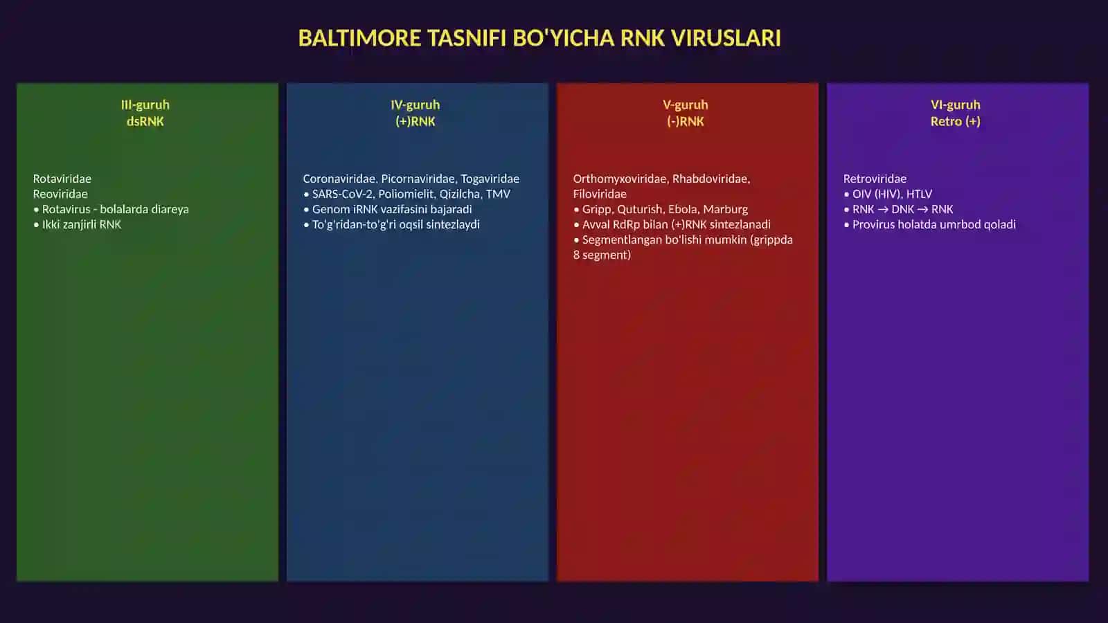RNK saqlovchi viruslari | Taqdimot 4