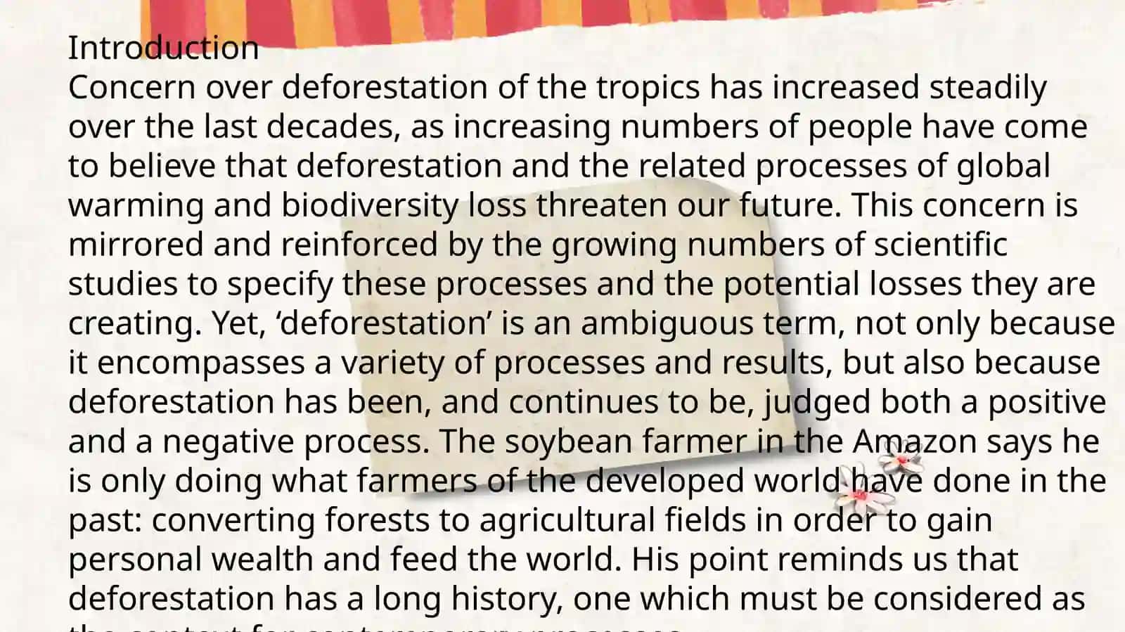 Deforestation 4