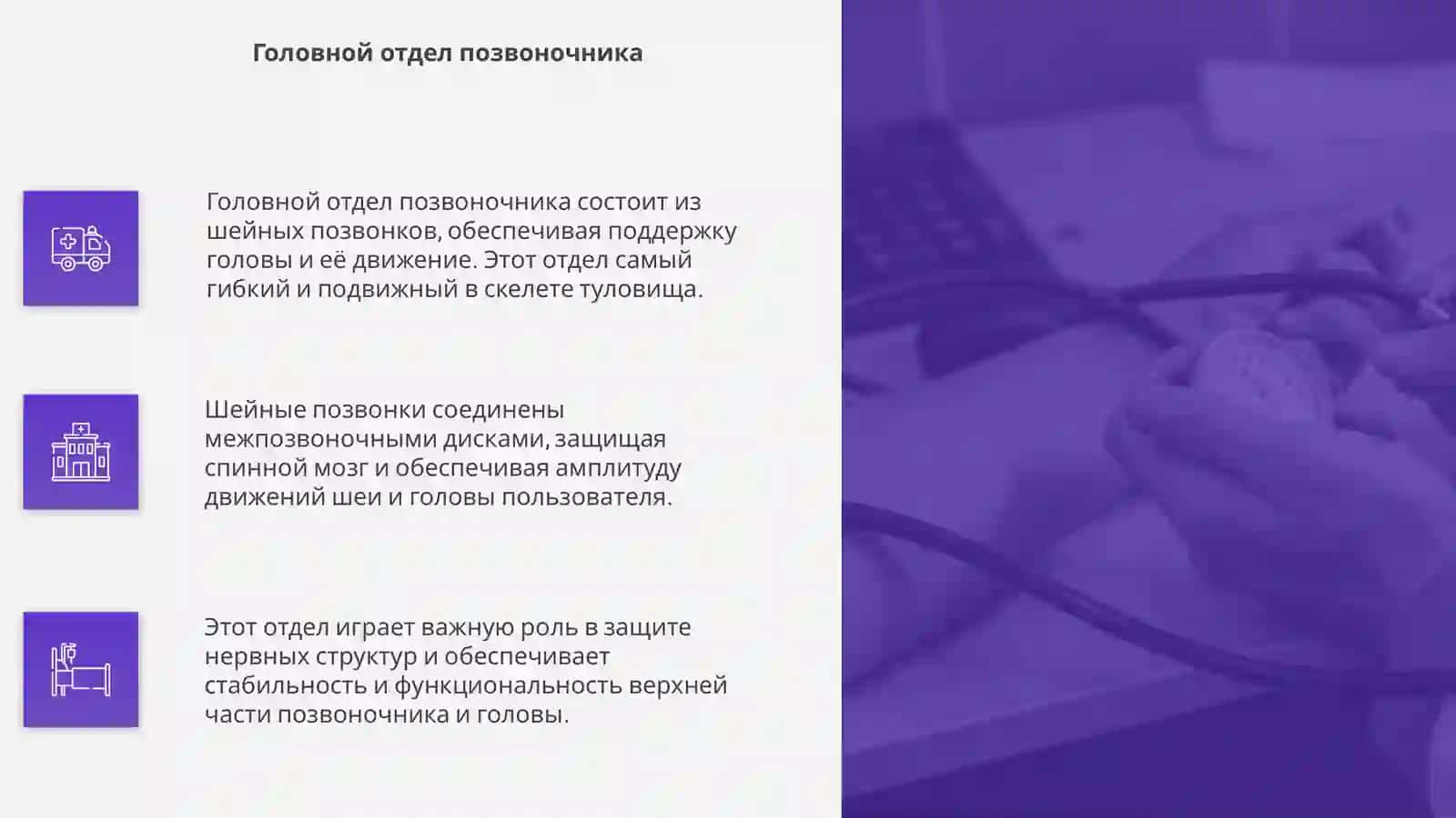 Скелет туловища 4