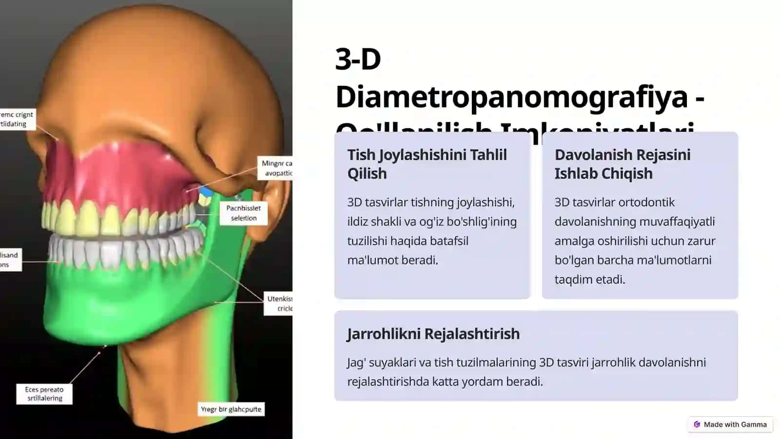 Ortodontiyada Rentgenologik Tekshiruv Usullari 4