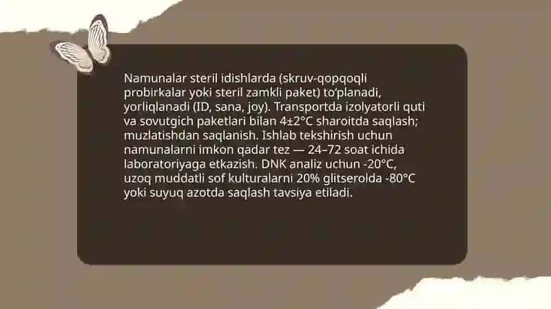 Trichoderma zamburug‘larining sof kulturasini ajratish 4