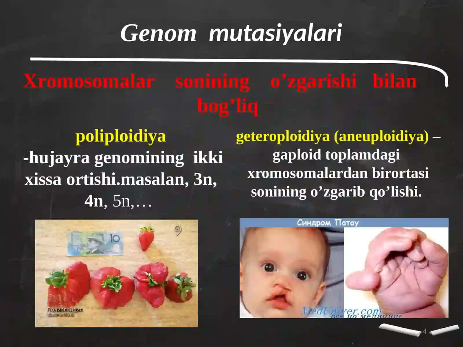 Odamdauchraydiganirsiykasalliklar 4