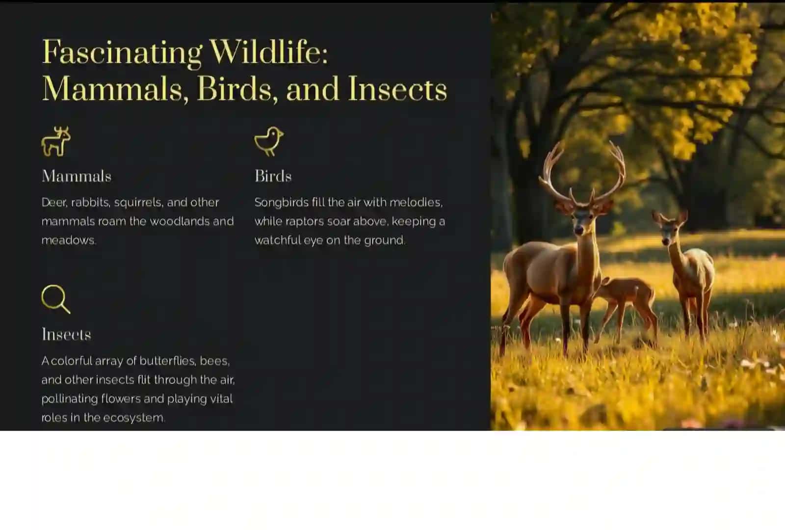 Exploring the Diverse Ecosystems 4