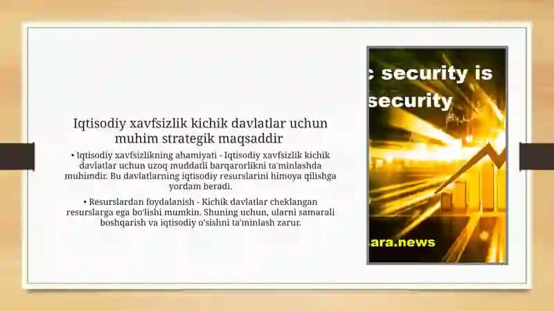 Kichik davlatlar iqtisodiy xavfsizlik 4