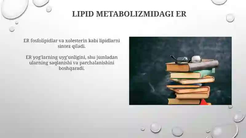 Endoplazmatik toʻr 4