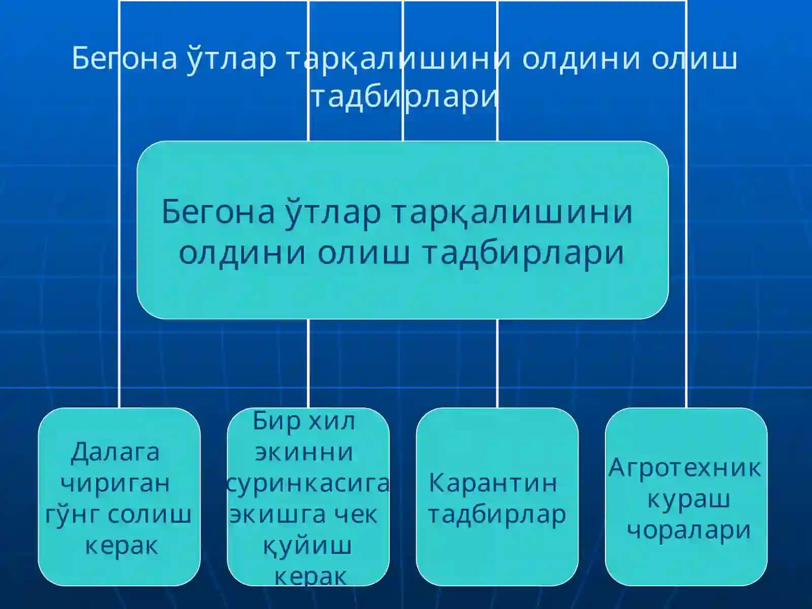 БЕГОНА ЎТЛАРГА ҚАРШИ КУРАШ ЧОРАЛАРИ 4