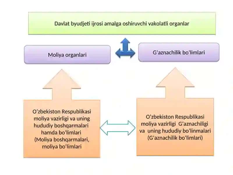 Moliya organlari, Gʻaznachilik va uning hududiy boʻlinmalarida buxgalteriya hisobini tashkil etishning uslubiy asoslari 4