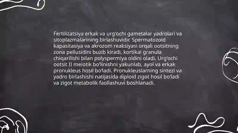 Hujayra ontogenezining rivojlanish bosqichlari 4