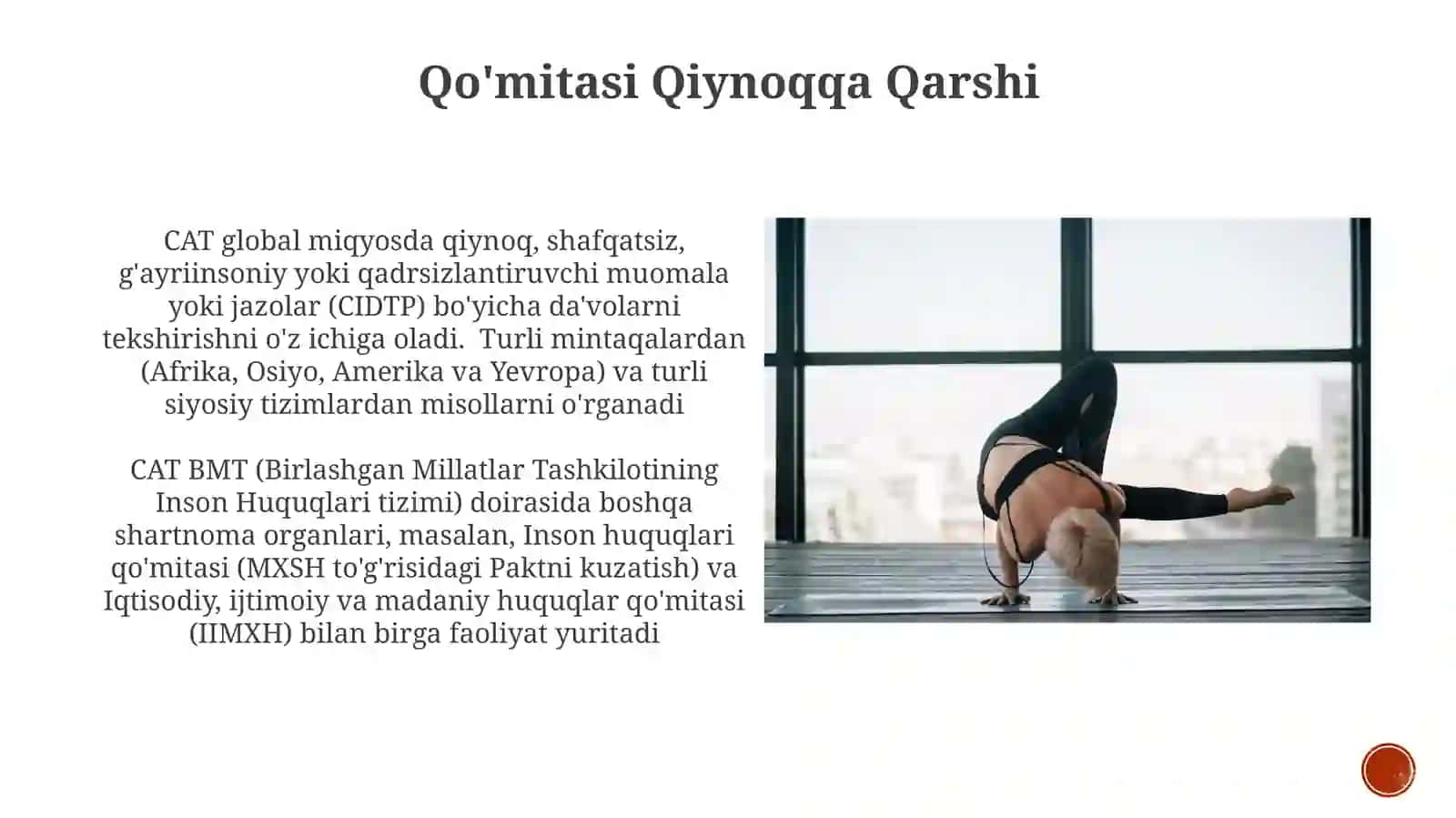 Inson huquqlari bo'yicha xalqaro shartnomaviy institutlar faoliyati 4