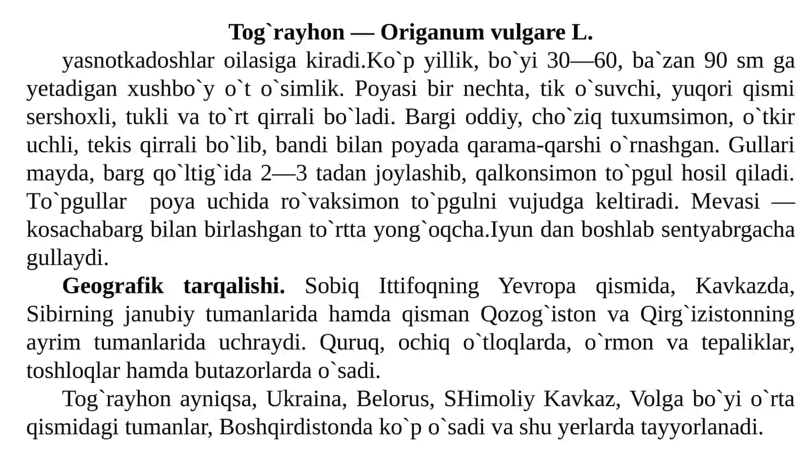 Tog`rayhon — Origanum vulgare L 4