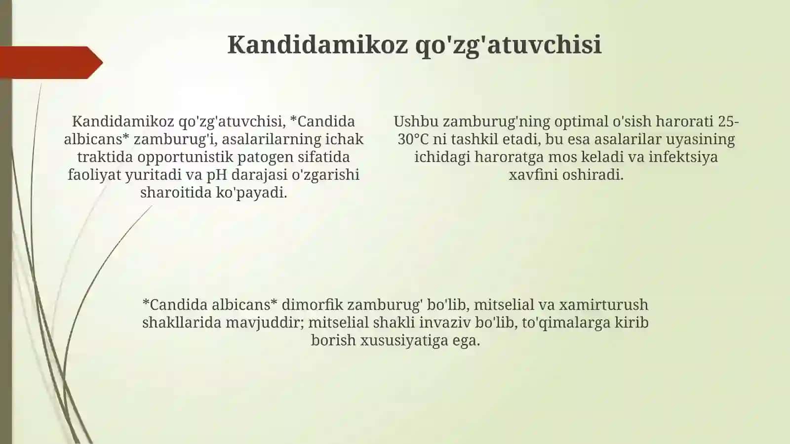 Asalarining kondidamikoz kasalligi 4