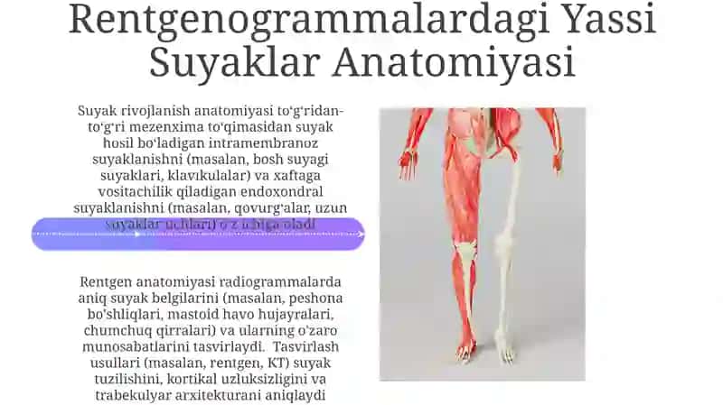 Skelet suyaklarining rentgenanatomiyasi.skeletning rivojlanish anatomiyasi 4