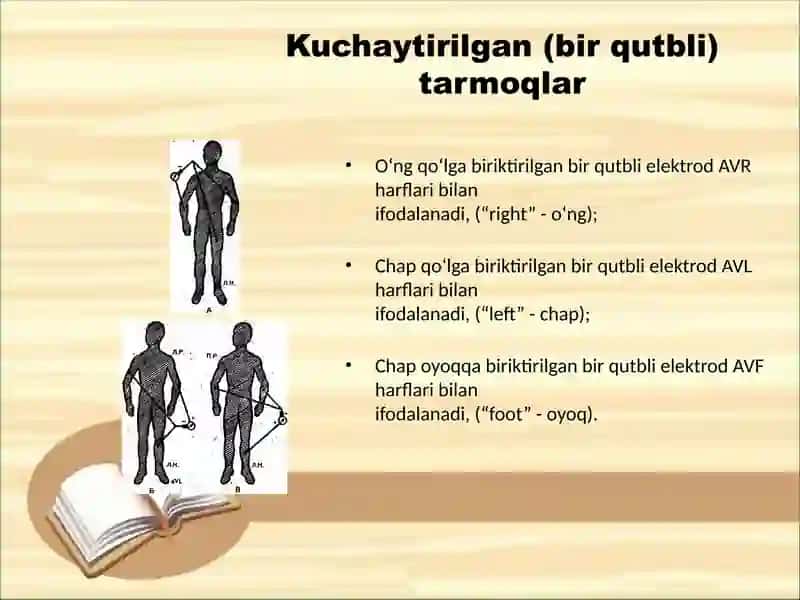 EKG ni yozib olish. Normal elektrokardiogramma 4